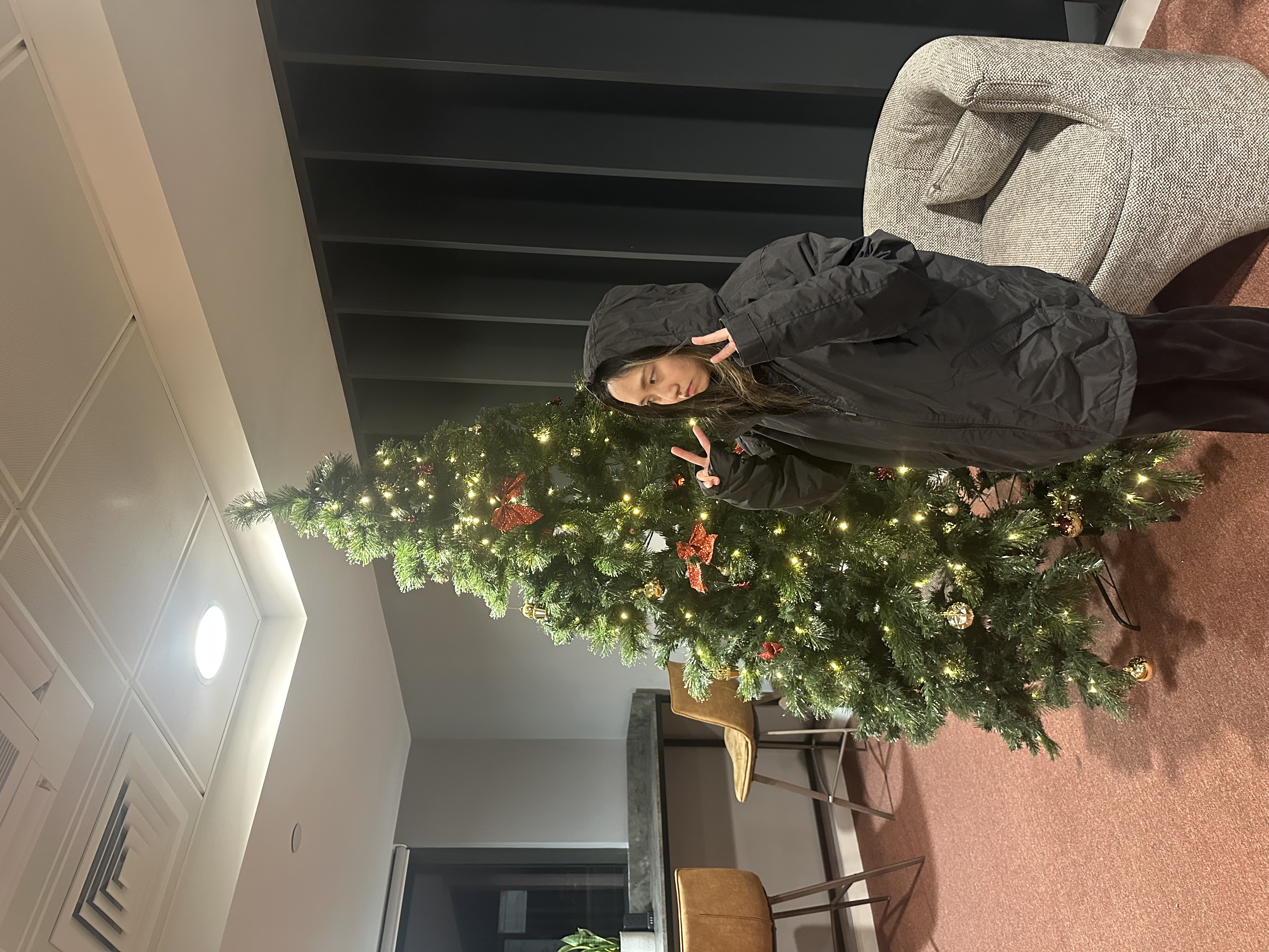 A girl with a Christmas tree